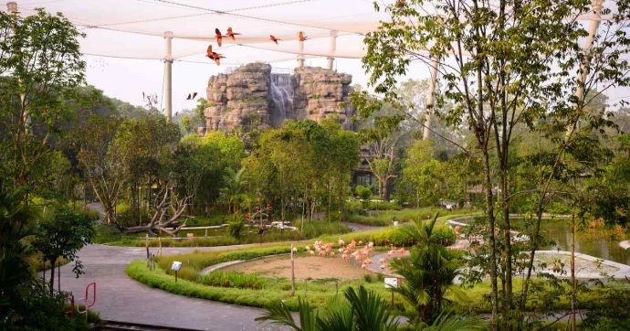 Mandai Bird Park