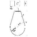 21.webp