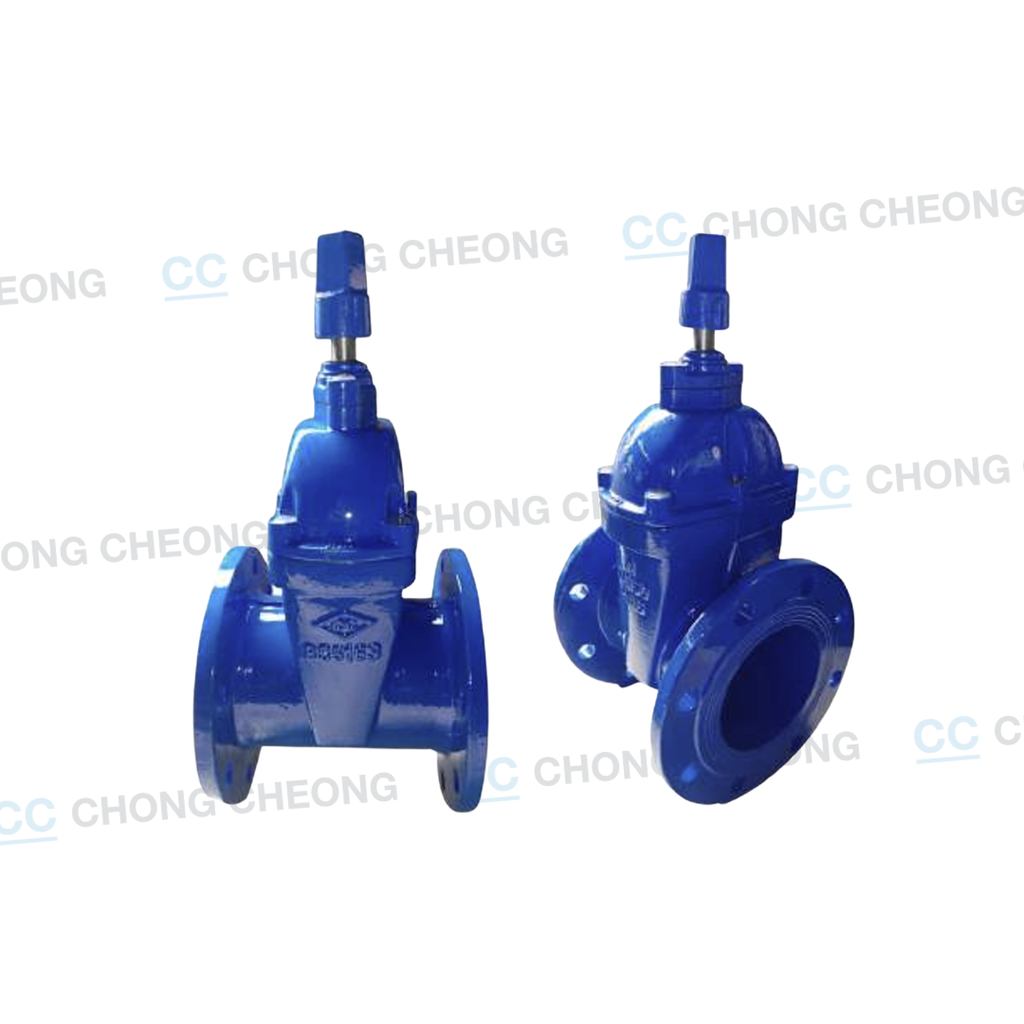 RESILIENT DUCTILE IRON GATE VALVE (PN16)